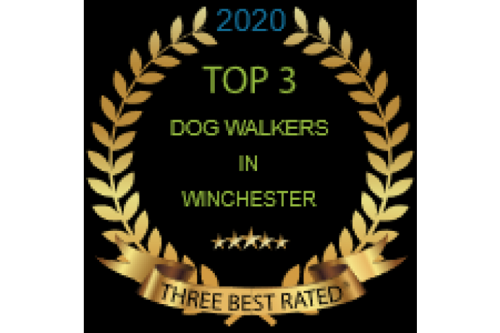 Dog walking winchester