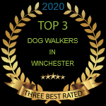 Dog walking winchester