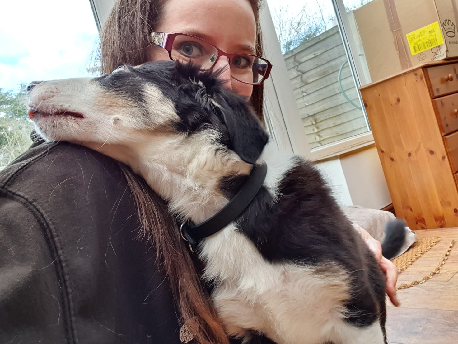 puppy visits