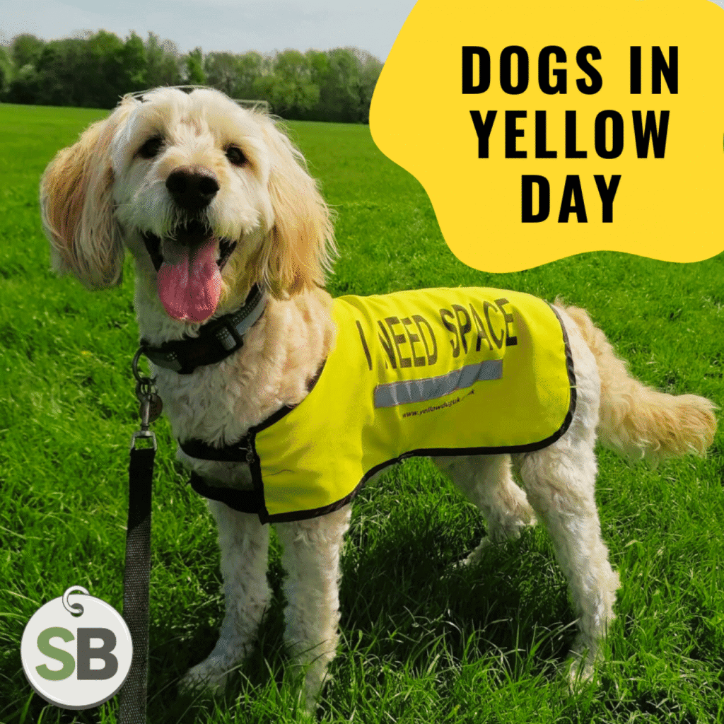 Dogs in Yellow: What It Means and Why It Matters