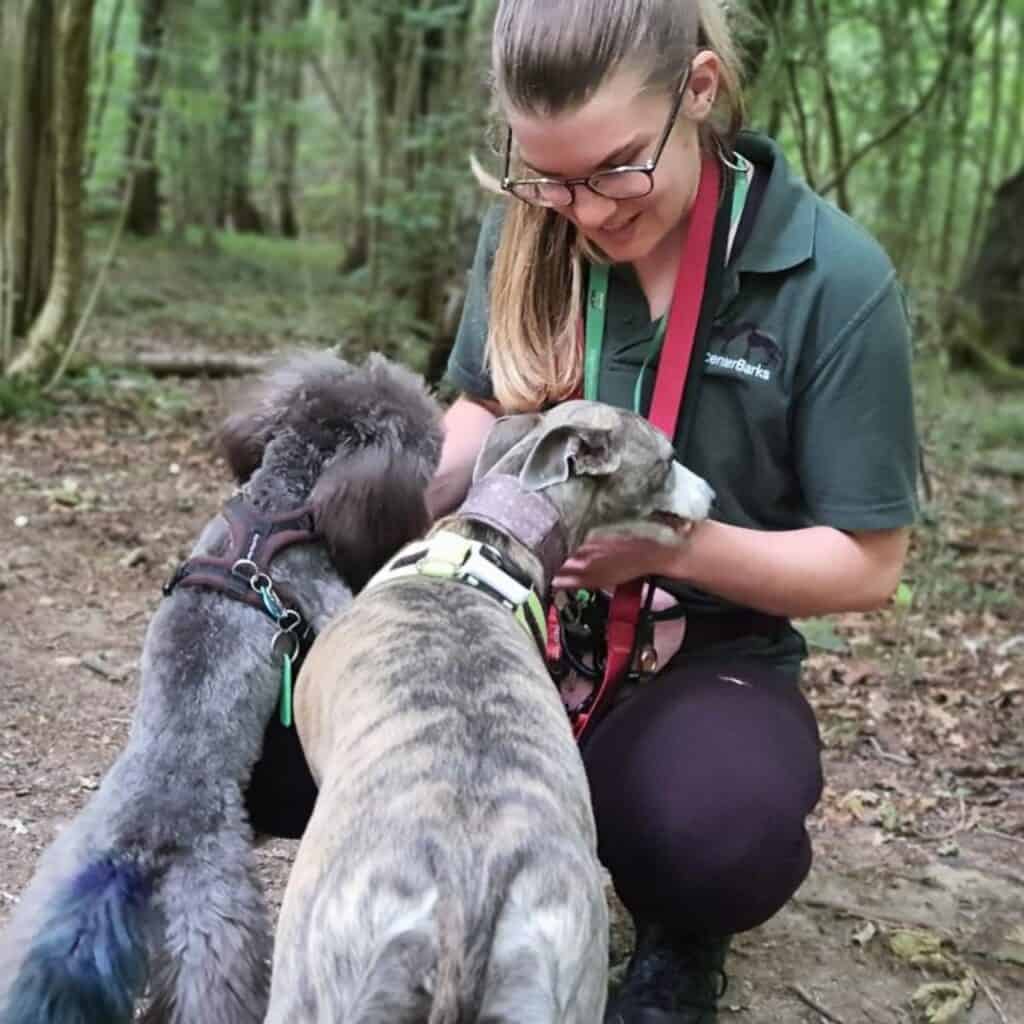 Want your dog walked by a respectful and conscientious dog walker