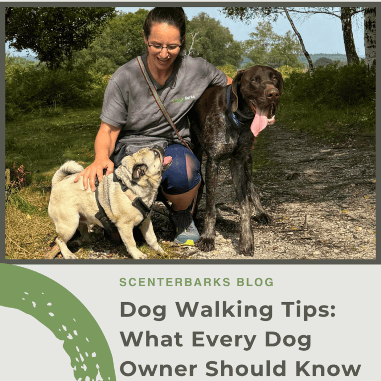 Dog Walking Tips