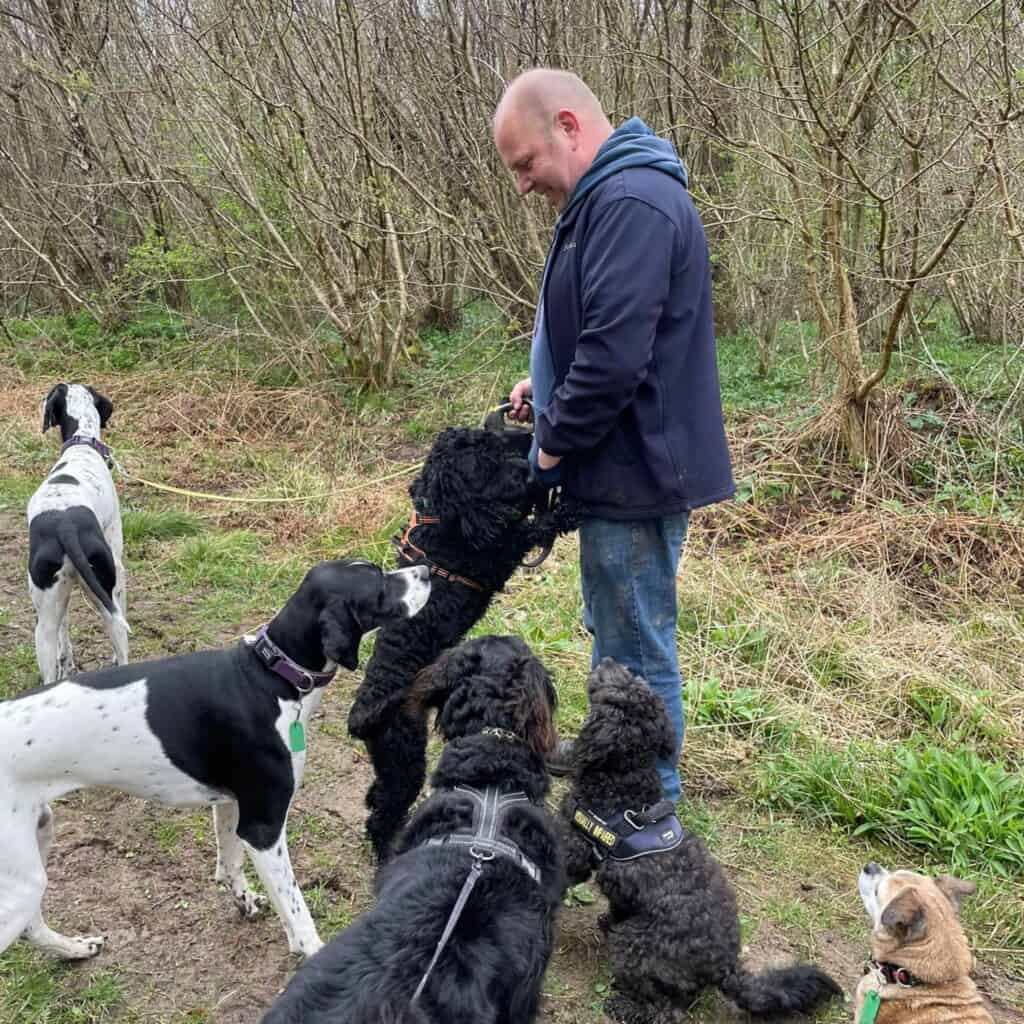 Scenterbarks fully certified and experienced dog walker